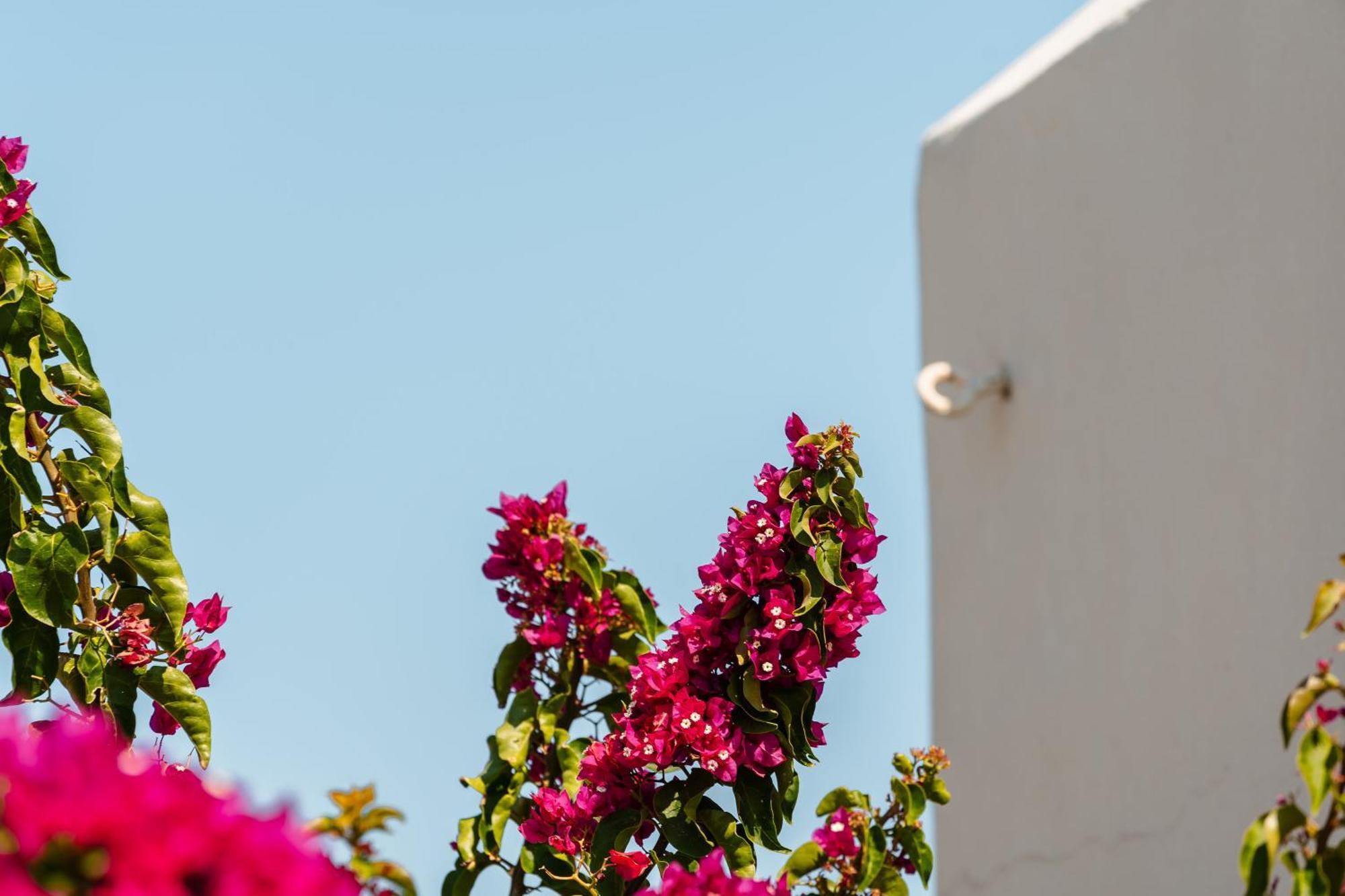 Rosabella Home Naxos City Kültér fotó